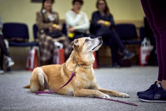 URBAN DOG konferencija CHASE 2018 