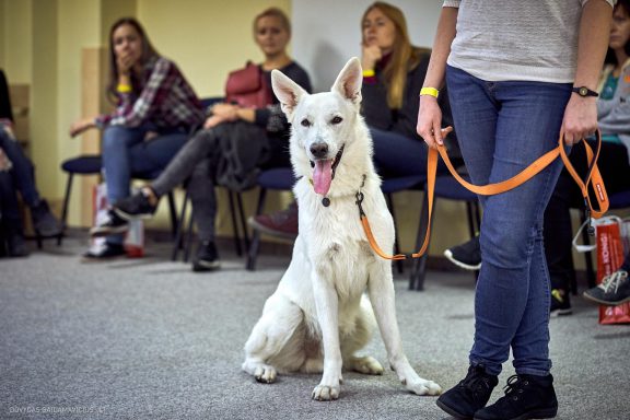 URBAN DOG konferencija CHASE 2018 