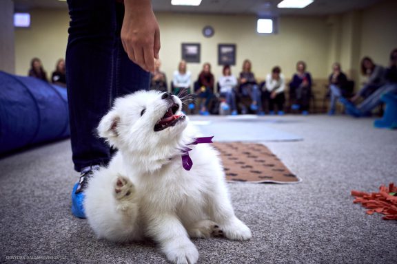 URBAN DOG konferencija CHASE 2018 