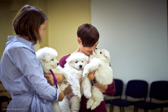 URBAN DOG konferencija CHASE 2018 