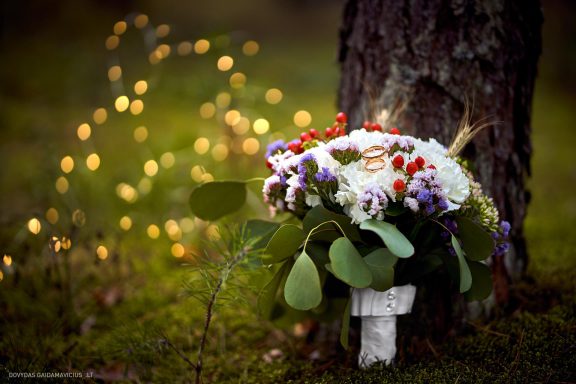 Seiros Do ir Raimio Jeruševičius vestuvių fotosesija