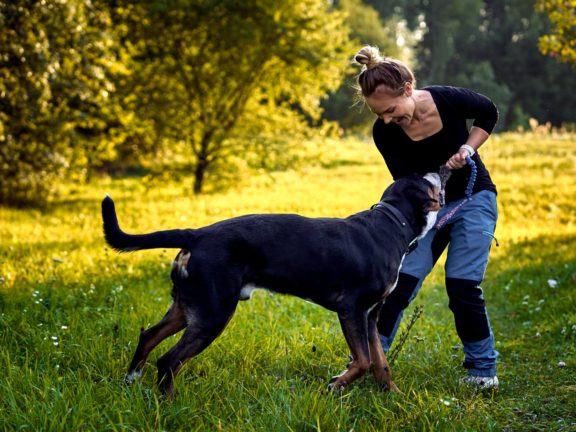 Agne Jaz (Urban Dog) šunų fotosesija - Bleiras ir Frodo, Vilnius Fotografas: Dovydas Gaidamavičius