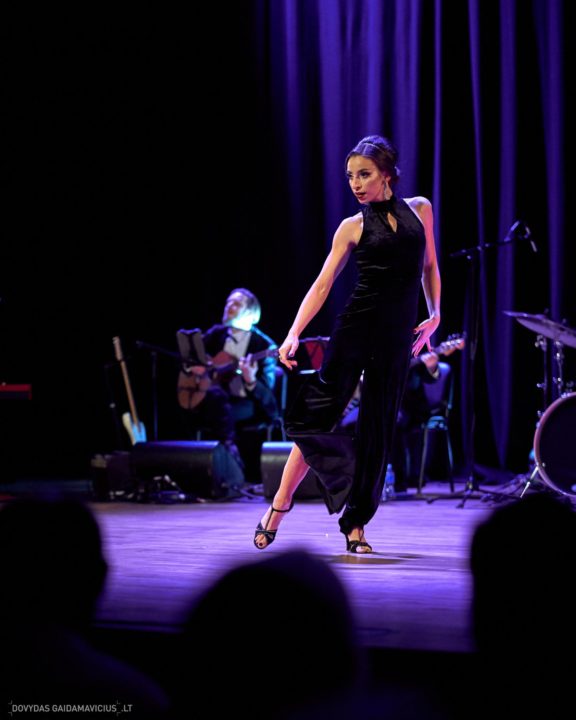 Martynas Kavaliauskas show Raudondvaris 2018, Kaunas, Legendinės Lietuviškos dainos, Fotografas: Dovydas Gaidamavičius