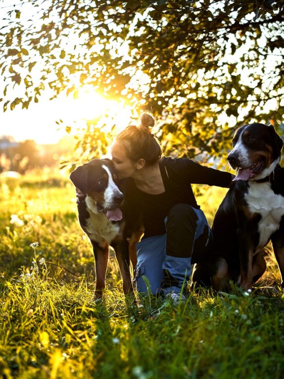 Agne Jaz (Urban Dog) šunų fotosesija - Bleiras ir Frodo, Vilnius Fotografas: Dovydas Gaidamavičius