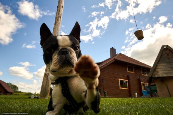 Vasaros atidarymas: Tema „Hipiai“ (Šokių Akademija), Sodyba Tundra, Jurgita Česnavičiūtė, Fotografas: Dovydas Gaidamavičius