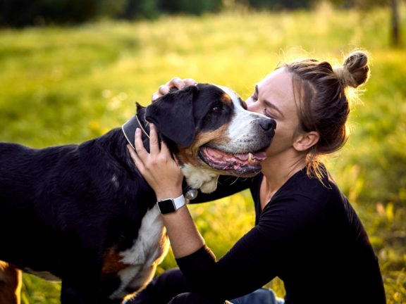 Agne Jaz (Urban Dog) šunų fotosesija - Bleiras ir Frodo, Vilnius Fotografas: Dovydas Gaidamavičius