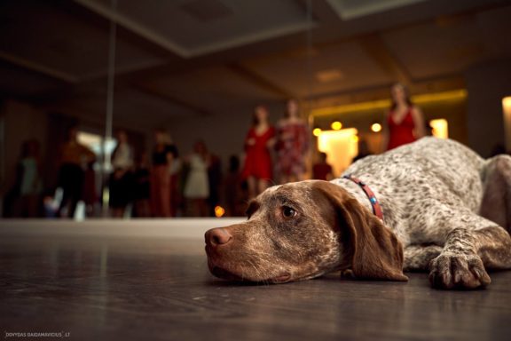 Sezono uždarymo vakarėlis "Tekila", Gintarės šokių ir laisvalaikio studija, Kaunas Fotografas: Dovydas Gaidamavičius