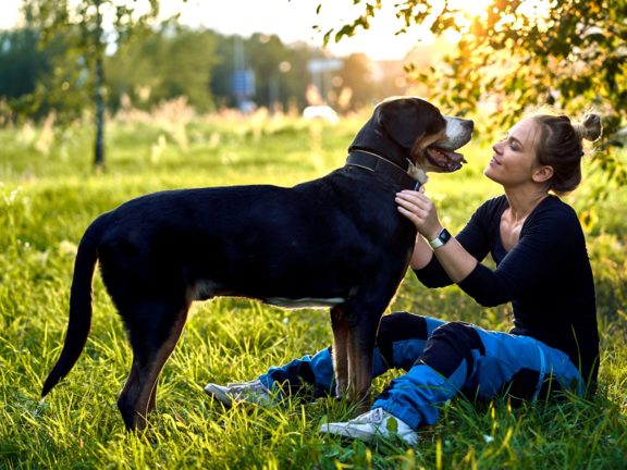Agne Jaz (Urban Dog) šunų fotosesija - Bleiras ir Frodo, Vilnius Fotografas: Dovydas Gaidamavičius