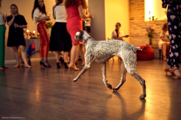 Sezono uždarymo vakarėlis "Tekila", Gintarės šokių ir laisvalaikio studija, Kaunas Fotografas: Dovydas Gaidamavičius