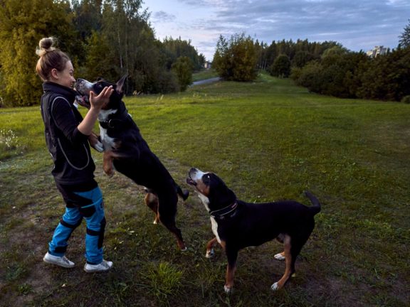 Agne Jaz (Urban Dog) šunų fotosesija - Bleiras ir Frodo, Vilnius Fotografas: Dovydas Gaidamavičius