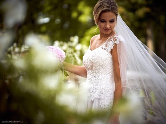 Simona ir Aurimas Vestuvės Taujėnų Dvaras, Anykščių tiltas