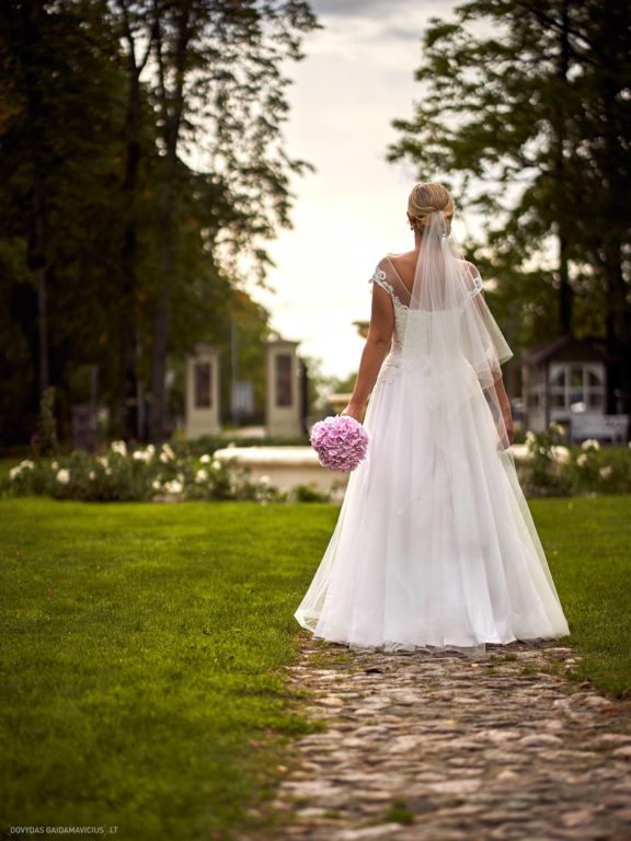 Simona ir Aurimas Vestuvės Taujėnų Dvaras, Anykščių tiltas