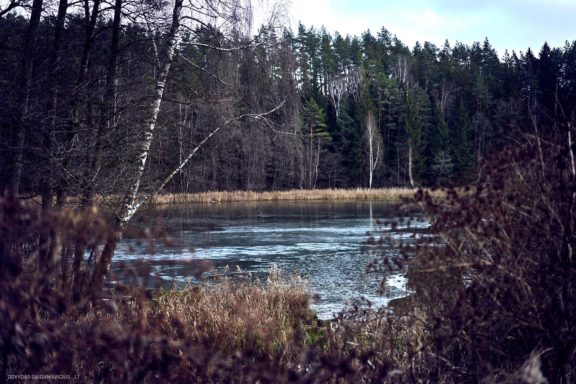 Tails Hotel - Urban Dog šunų viešbutis Vilniuje www.TailsHotel.lt Fotografas: Dovydas Gaidamavičius © www.DovydasGaidamavičius.lt