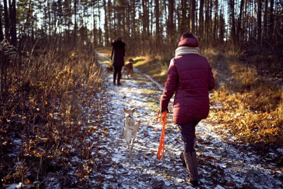 Tails Hotel - Urban Dog šunų viešbutis Vilniuje www.TailsHotel.lt Fotografas: Dovydas Gaidamavičius © www.DovydasGaidamavičius.lt