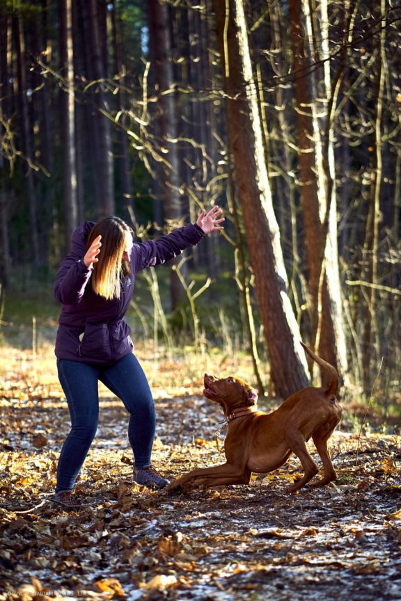 Tails Hotel - Urban Dog šunų viešbutis Vilniuje www.TailsHotel.lt Fotografas: Dovydas Gaidamavičius © www.DovydasGaidamavičius.lt