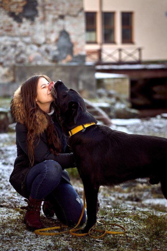 Tails Hotel - Urban Dog šunų viešbutis Vilniuje www.TailsHotel.lt Fotografas: Dovydas Gaidamavičius © www.DovydasGaidamavičius.lt