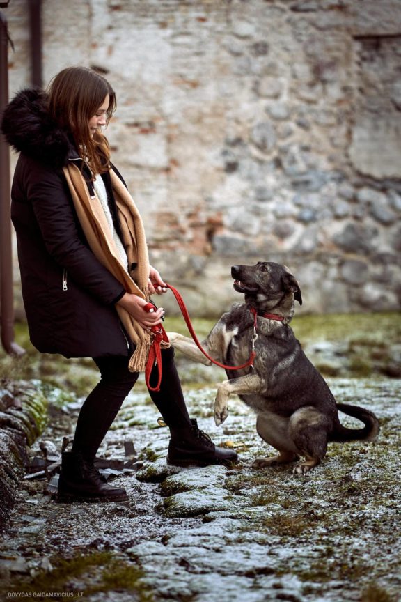 Tails Hotel - Urban Dog šunų viešbutis Vilniuje www.TailsHotel.lt Fotografas: Dovydas Gaidamavičius © www.DovydasGaidamavičius.lt