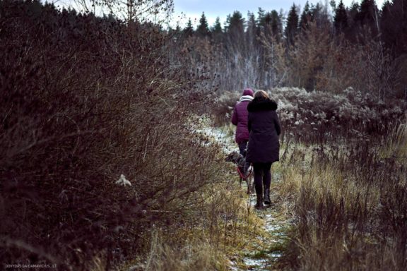 Tails Hotel - Urban Dog šunų viešbutis Vilniuje www.TailsHotel.lt Fotografas: Dovydas Gaidamavičius © www.DovydasGaidamavičius.lt