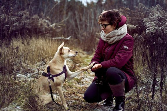 Tails Hotel - Urban Dog šunų viešbutis Vilniuje www.TailsHotel.lt Fotografas: Dovydas Gaidamavičius © www.DovydasGaidamavičius.lt