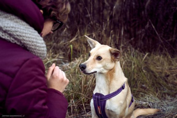 Tails Hotel - Urban Dog šunų viešbutis Vilniuje www.TailsHotel.lt Fotografas: Dovydas Gaidamavičius © www.DovydasGaidamavičius.lt