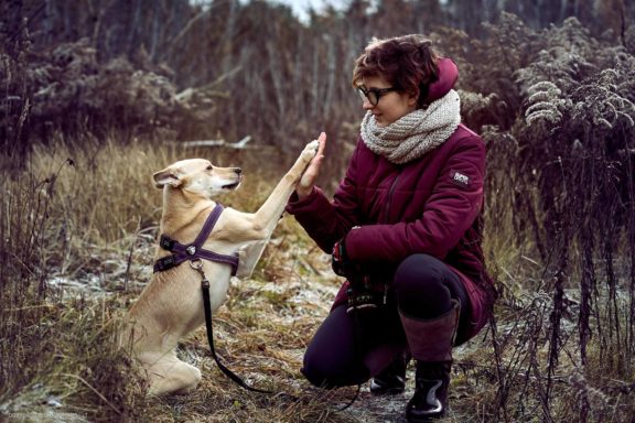 Tails Hotel - Urban Dog šunų viešbutis Vilniuje www.TailsHotel.lt Fotografas: Dovydas Gaidamavičius © www.DovydasGaidamavičius.lt