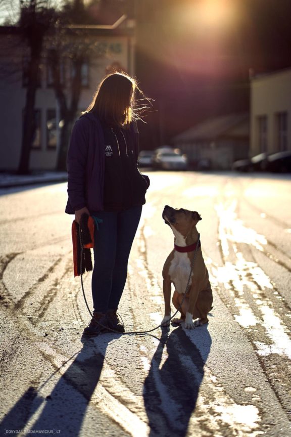 Tails Hotel - Urban Dog šunų viešbutis Vilniuje www.TailsHotel.lt Fotografas: Dovydas Gaidamavičius © www.DovydasGaidamavičius.lt