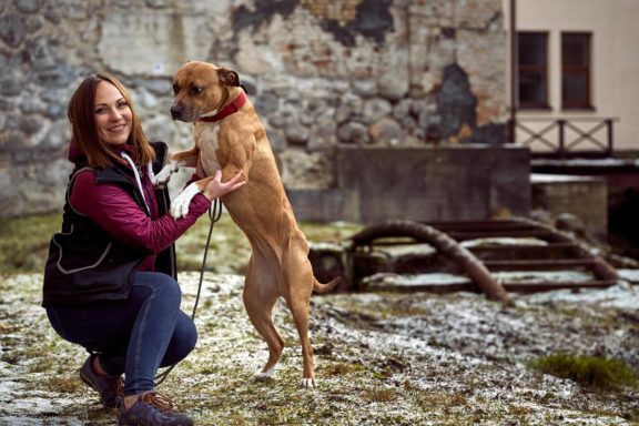 Tails Hotel - Urban Dog šunų viešbutis Vilniuje www.TailsHotel.lt Fotografas: Dovydas Gaidamavičius © www.DovydasGaidamavičius.lt