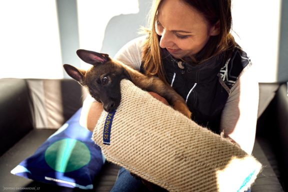 Tails Hotel - Urban Dog šunų viešbutis Vilniuje www.TailsHotel.lt Fotografas: Dovydas Gaidamavičius © www.DovydasGaidamavičius.lt