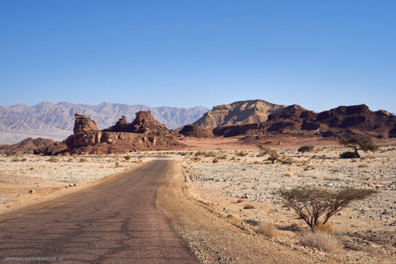 Israel, Eilat, Izraelis, Eilatas, Red canyon, Dykuma, Timna parkas Kelionė Fotografas: Dovydas Gaidamavičius © www.DovydasGaidamavicius.lt