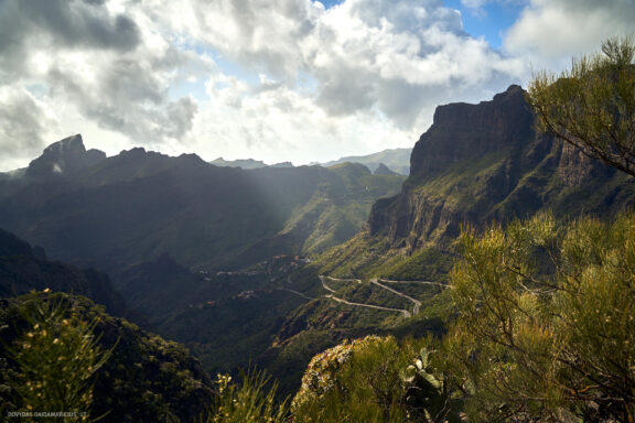 Tenerifė, Teidės ugnikalnis, Kelionė Fotografas: Dovydas Gaidamavičius © www.DovydasGaidamavicius.lt