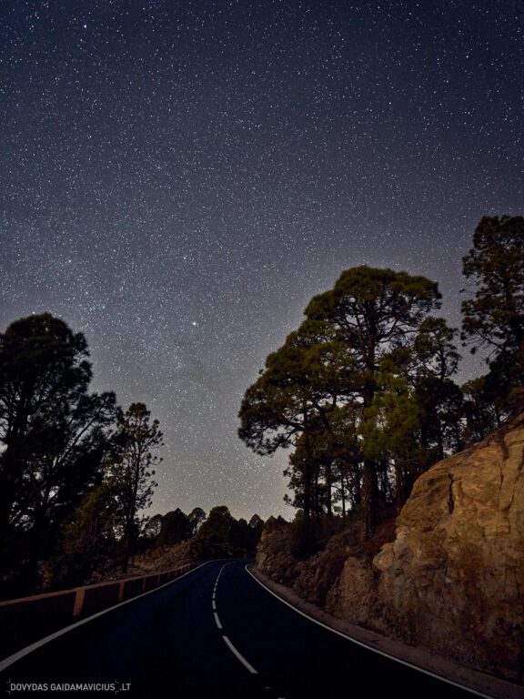 Tenerifė, Teidės ugnikalnis, Kelionė Fotografas: Dovydas Gaidamavičius © www.DovydasGaidamavicius.lt