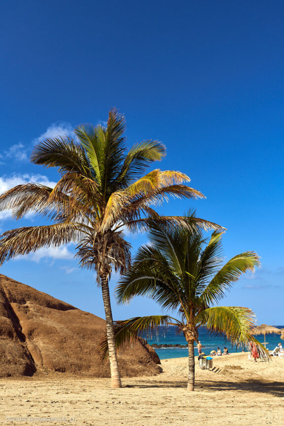 Tenerifė, Teidės ugnikalnis, Kelionė Fotografas: Dovydas Gaidamavičius © www.DovydasGaidamavicius.lt