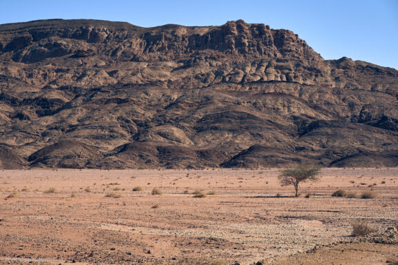 Israel, Eilat, Izraelis, Eilatas, Red canyon, Dykuma, Timna parkas Kelionė Fotografas: Dovydas Gaidamavičius © www.DovydasGaidamavicius.lt