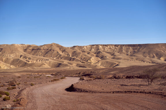 Israel, Eilat, Izraelis, Eilatas, Red canyon, Dykuma, Timna parkas Kelionė Fotografas: Dovydas Gaidamavičius © www.DovydasGaidamavicius.lt