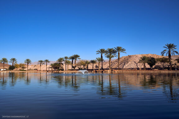 Israel, Eilat, Izraelis, Eilatas, Red canyon, Dykuma, Timna parkas Kelionė Fotografas: Dovydas Gaidamavičius © www.DovydasGaidamavicius.lt