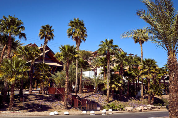 Israel, Eilat, Izraelis, Eilatas, Red canyon, Dykuma, Timna parkas Kelionė Fotografas: Dovydas Gaidamavičius © www.DovydasGaidamavicius.lt