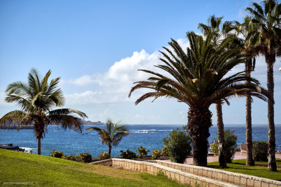 Tenerifė, Teidės ugnikalnis, Kelionė Fotografas: Dovydas Gaidamavičius © www.DovydasGaidamavicius.lt