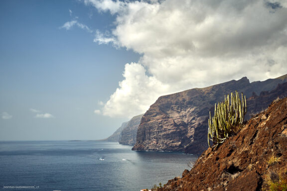 Tenerifė, Teidės ugnikalnis, Kelionė Fotografas: Dovydas Gaidamavičius © www.DovydasGaidamavicius.lt