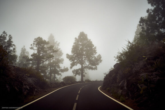 Tenerifė, Teidės ugnikalnis, Kelionė Fotografas: Dovydas Gaidamavičius © www.DovydasGaidamavicius.lt