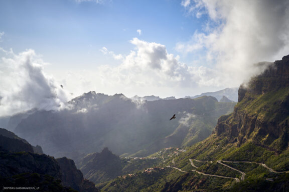Tenerifė, Teidės ugnikalnis, Kelionė Fotografas: Dovydas Gaidamavičius © www.DovydasGaidamavicius.lt