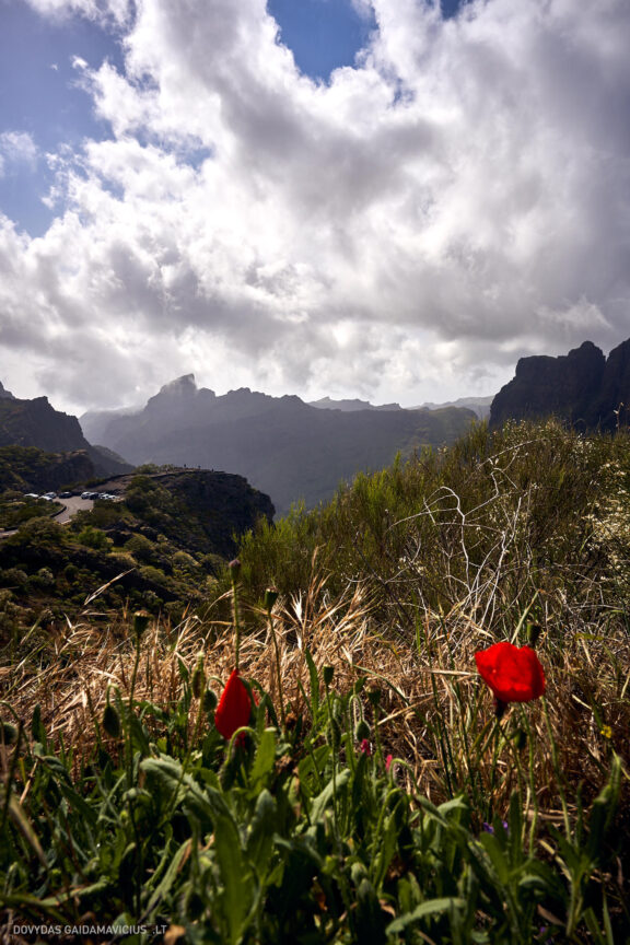 Tenerifė, Teidės ugnikalnis, Kelionė Fotografas: Dovydas Gaidamavičius © www.DovydasGaidamavicius.lt