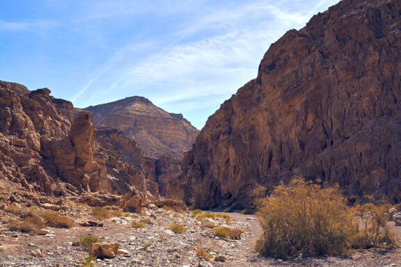 Israel, Eilat, Izraelis, Eilatas, Red canyon, Dykuma, Timna parkas Kelionė Fotografas: Dovydas Gaidamavičius © www.DovydasGaidamavicius.lt