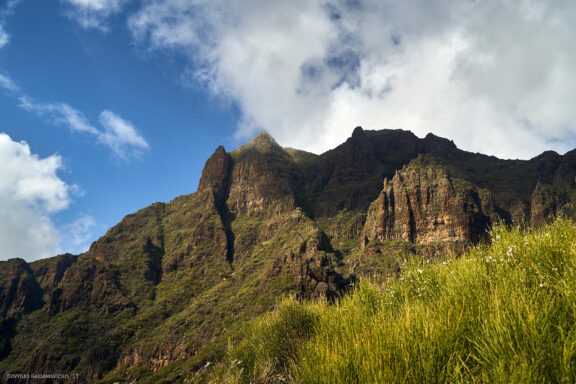 Tenerifė, Teidės ugnikalnis, Kelionė Fotografas: Dovydas Gaidamavičius © www.DovydasGaidamavicius.lt