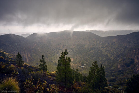 Gran Kanarija, Kelionė, Gran Canaria, Canary islands Fotografas: Dovydas Gaidamavičius © www.DovydasGaidamavicius.lt