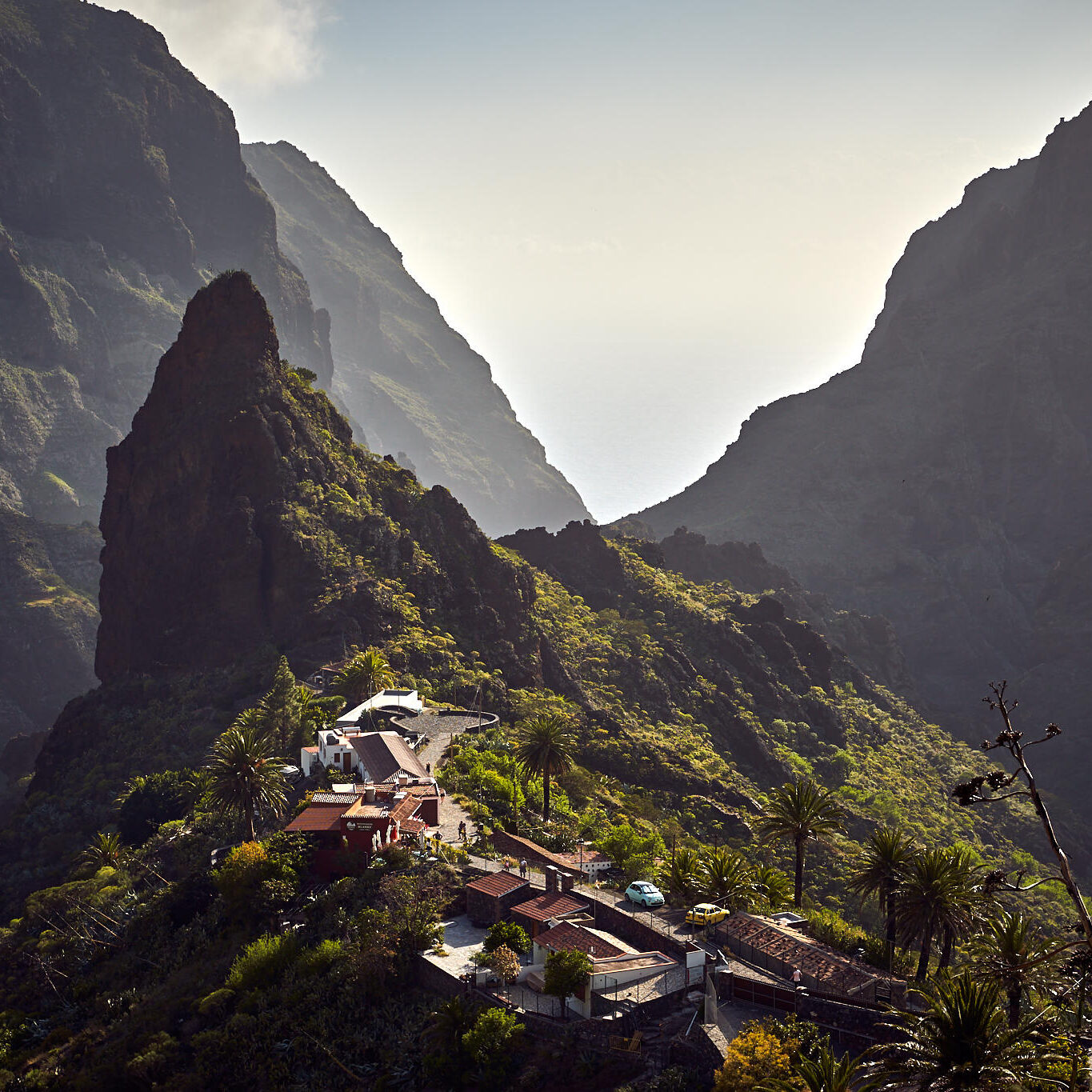 Tenerifė, Teidės ugnikalnis, Kelionė Fotografas: Dovydas Gaidamavičius © www.DovydasGaidamavicius.lt