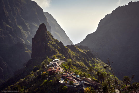Tenerifė, Teidės ugnikalnis, Kelionė Fotografas: Dovydas Gaidamavičius © www.DovydasGaidamavicius.lt
