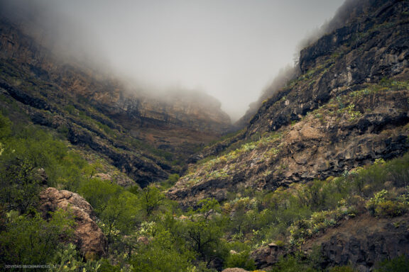 Gran Kanarija, Kelionė, Gran Canaria, Canary islands Fotografas: Dovydas Gaidamavičius © www.DovydasGaidamavicius.lt