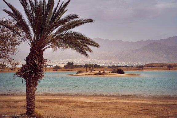 Israel, Eilat, Izraelis, Eilatas, Red canyon, Dykuma, Timna parkas Kelionė Fotografas: Dovydas Gaidamavičius © www.DovydasGaidamavicius.lt
