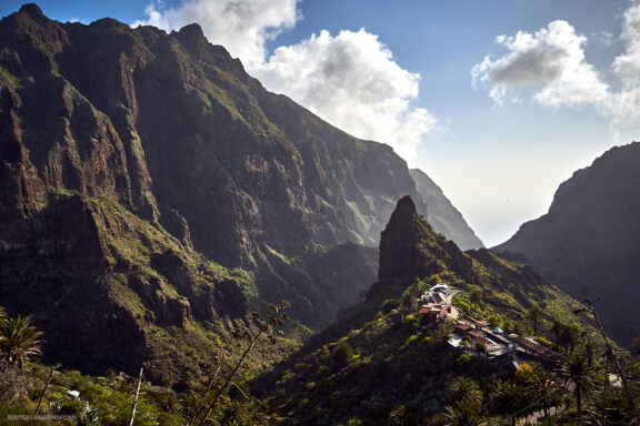 Tenerifė, Teidės ugnikalnis, Kelionė Fotografas: Dovydas Gaidamavičius © www.DovydasGaidamavicius.lt