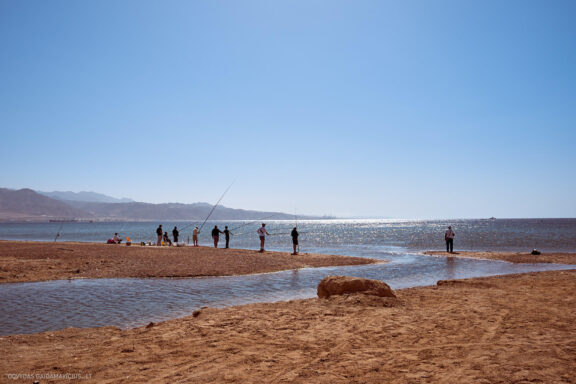 Israel, Eilat, Izraelis, Eilatas, Red canyon, Dykuma, Timna parkas Kelionė Fotografas: Dovydas Gaidamavičius © www.DovydasGaidamavicius.lt
